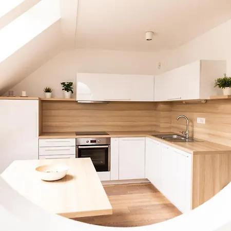 Vigorous Apartman Bled