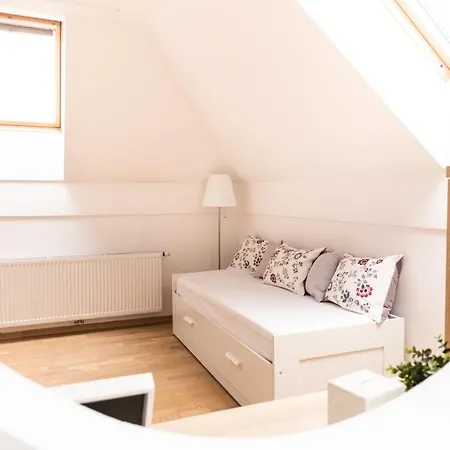 Vigorous Apartment